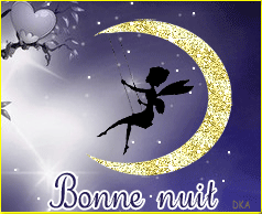bonne nuit fée balanÇoire